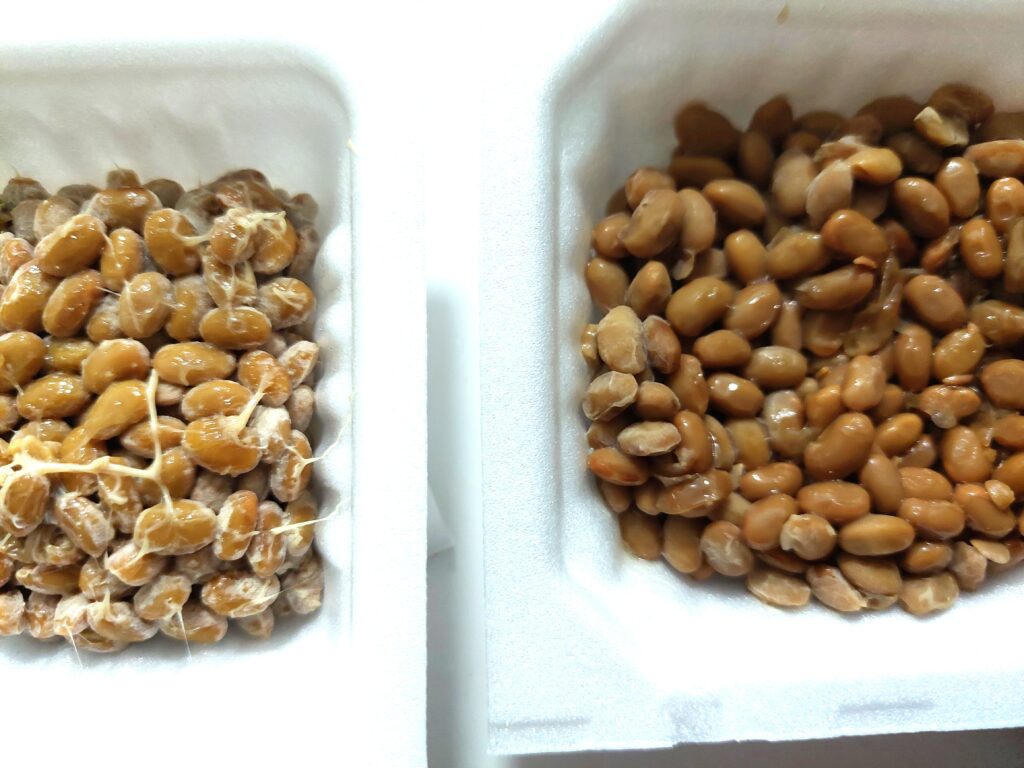 コープ「有機栽培極小小粒納豆」比較　豆比較