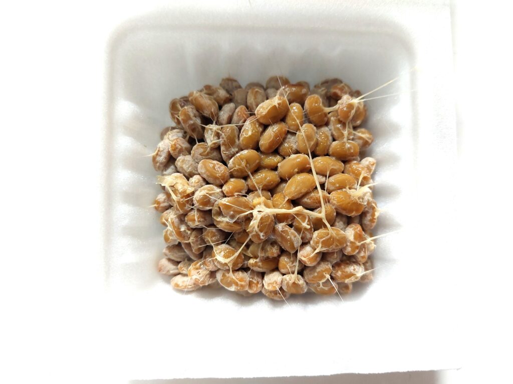 コープ「有機栽培極小小粒納豆」豆