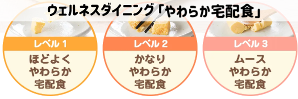 ウェルネスダイニング「やわらか宅配食」例