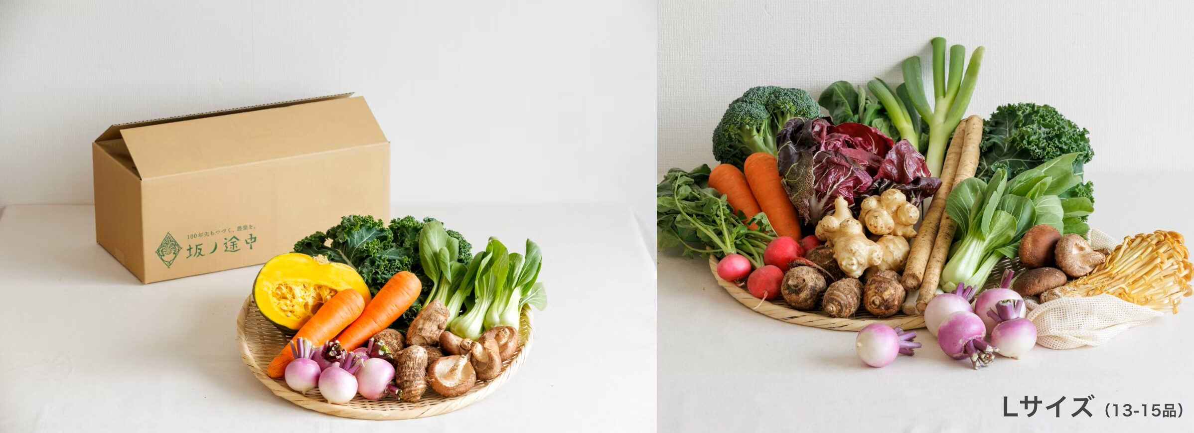 坂ノ途中　お試しセット例