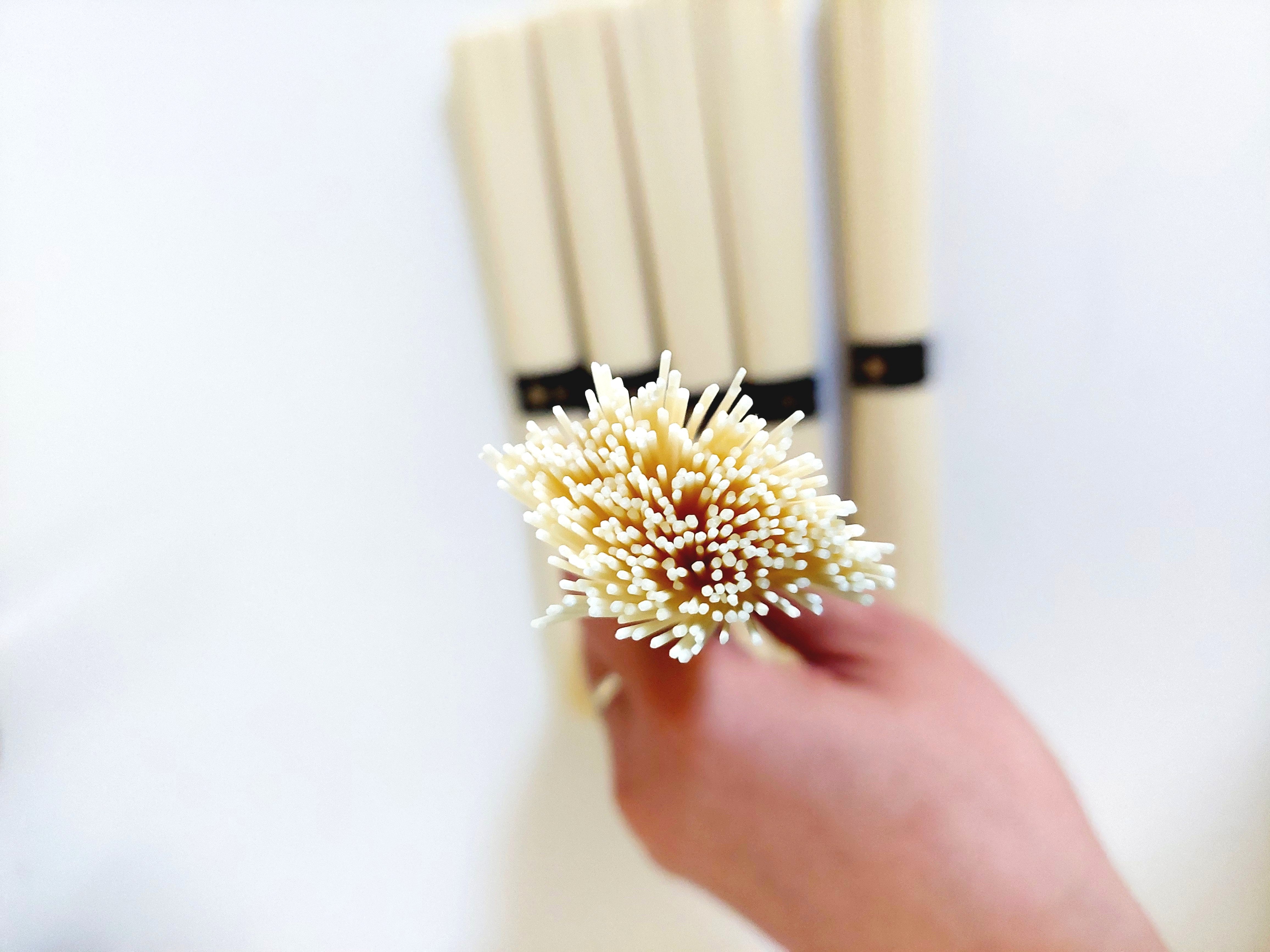コープ「島原手延べそうめん」麺の細さ2