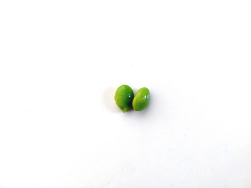 パルシステム「九州のえだまめ（塩ゆで）」粒