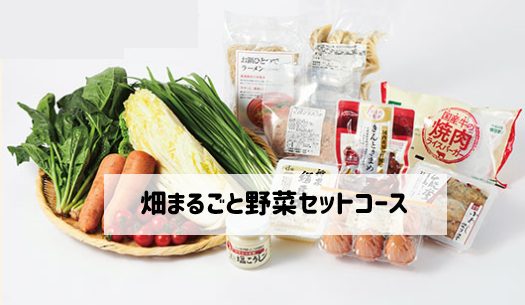 大地を守る会「畑まるごと野菜セットコース」