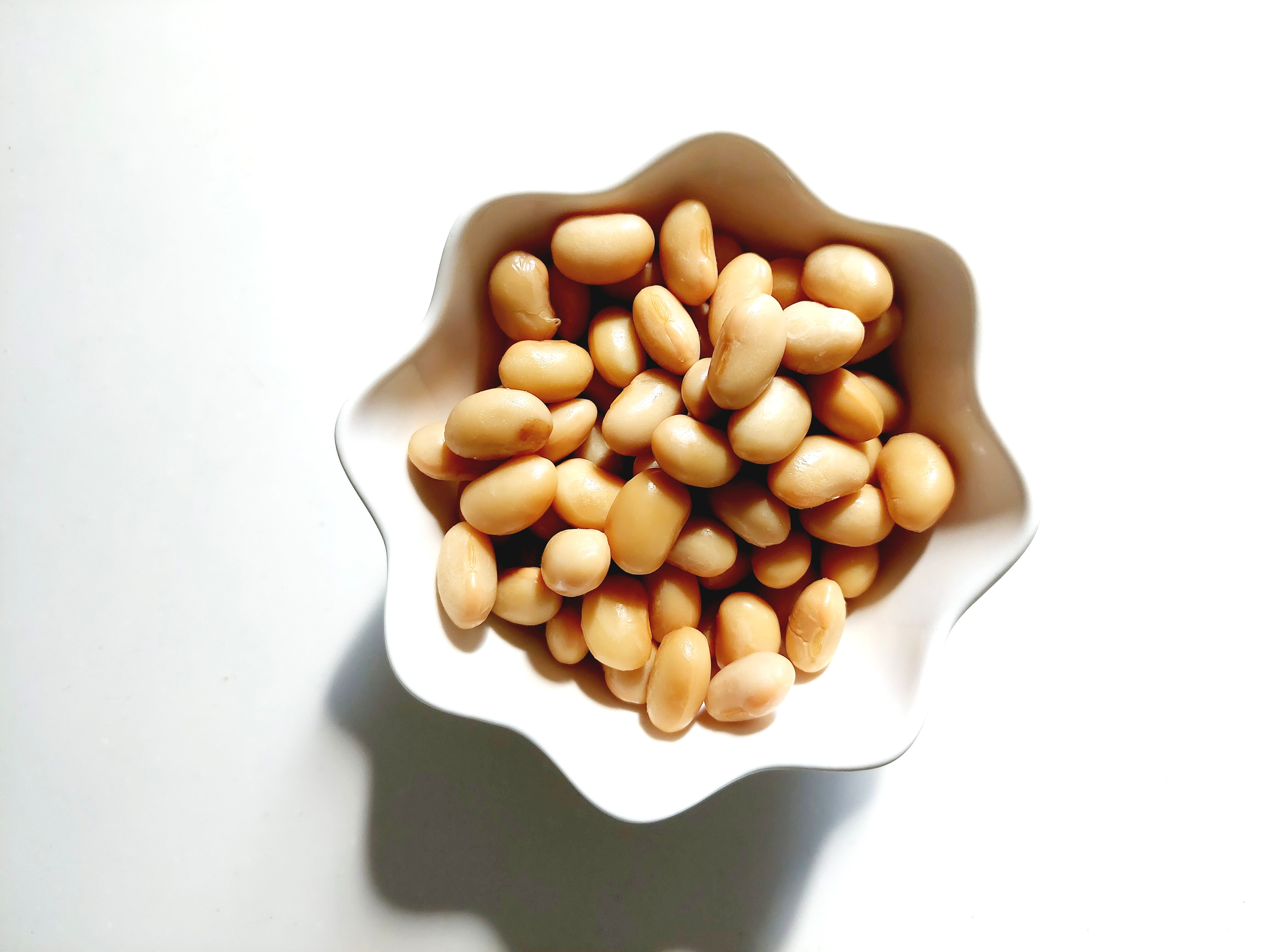 コープ「大豆ドライパック」中身をお皿に出してみた