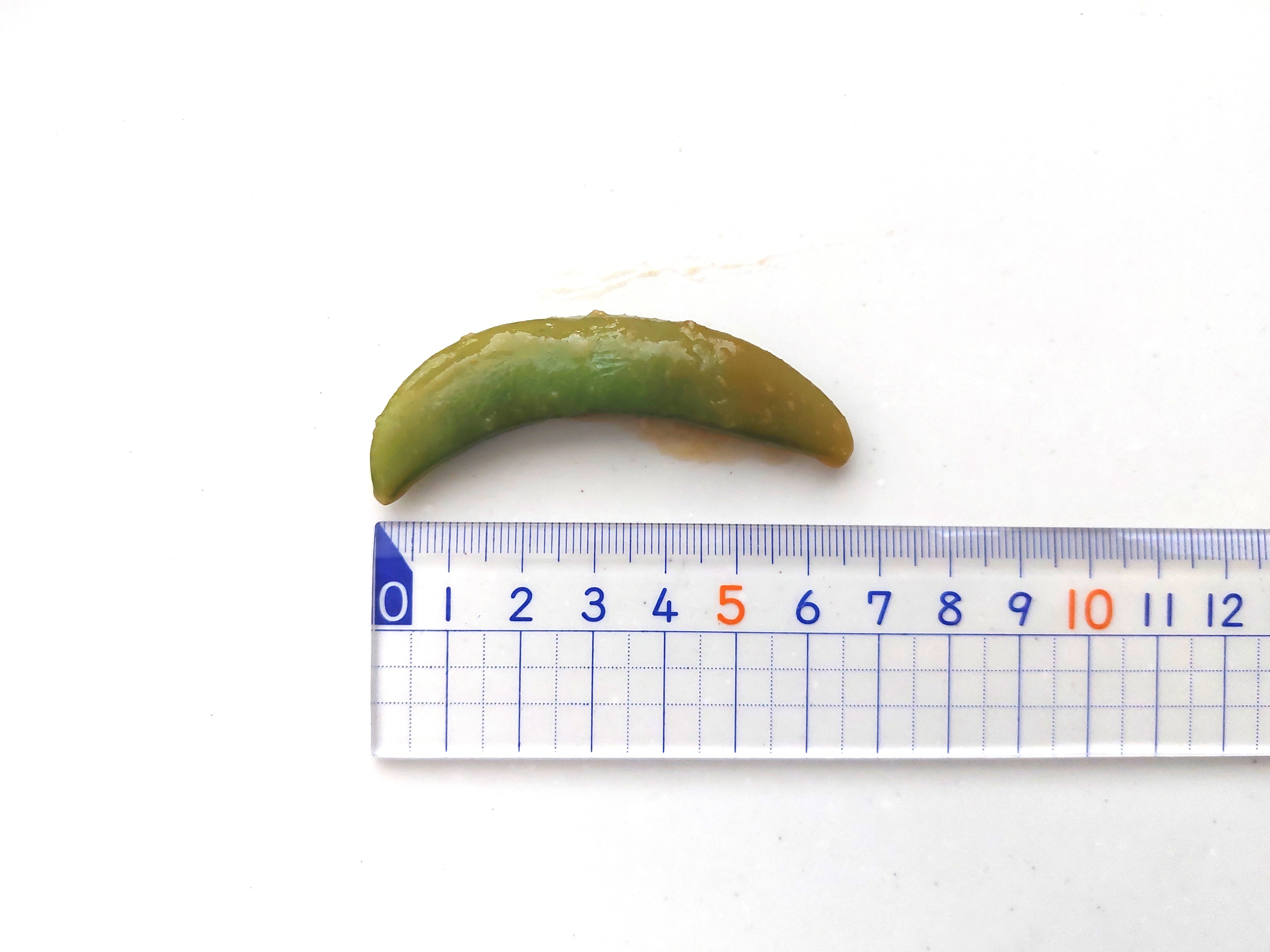 グリーンスプーン「彩り野菜と甘辛ソースの特製エビチリ」野菜の長さ