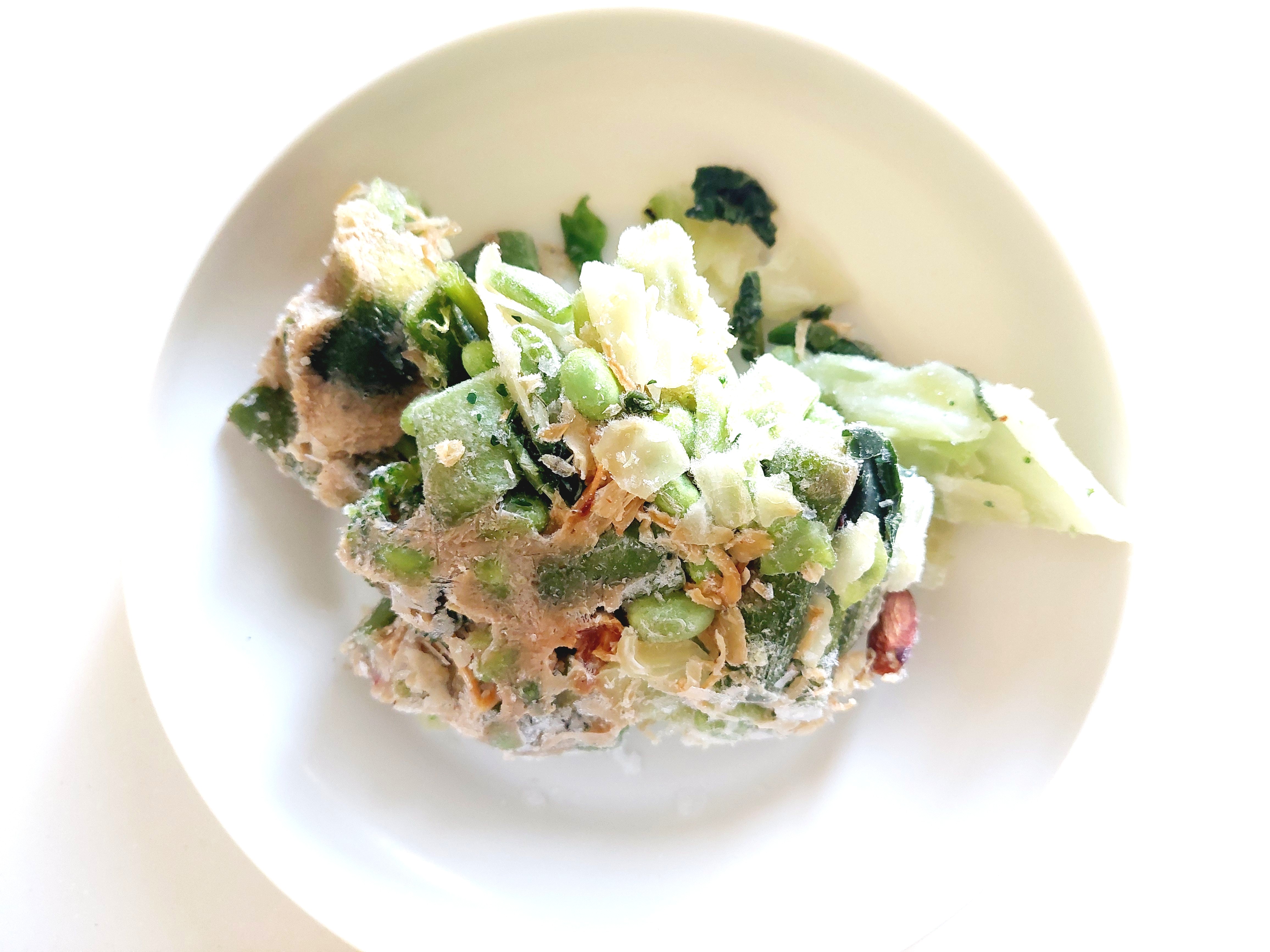 グリーンスプーン「ケールとナッツの塩麹グリーンサラダ」凍ったままの中身の画像