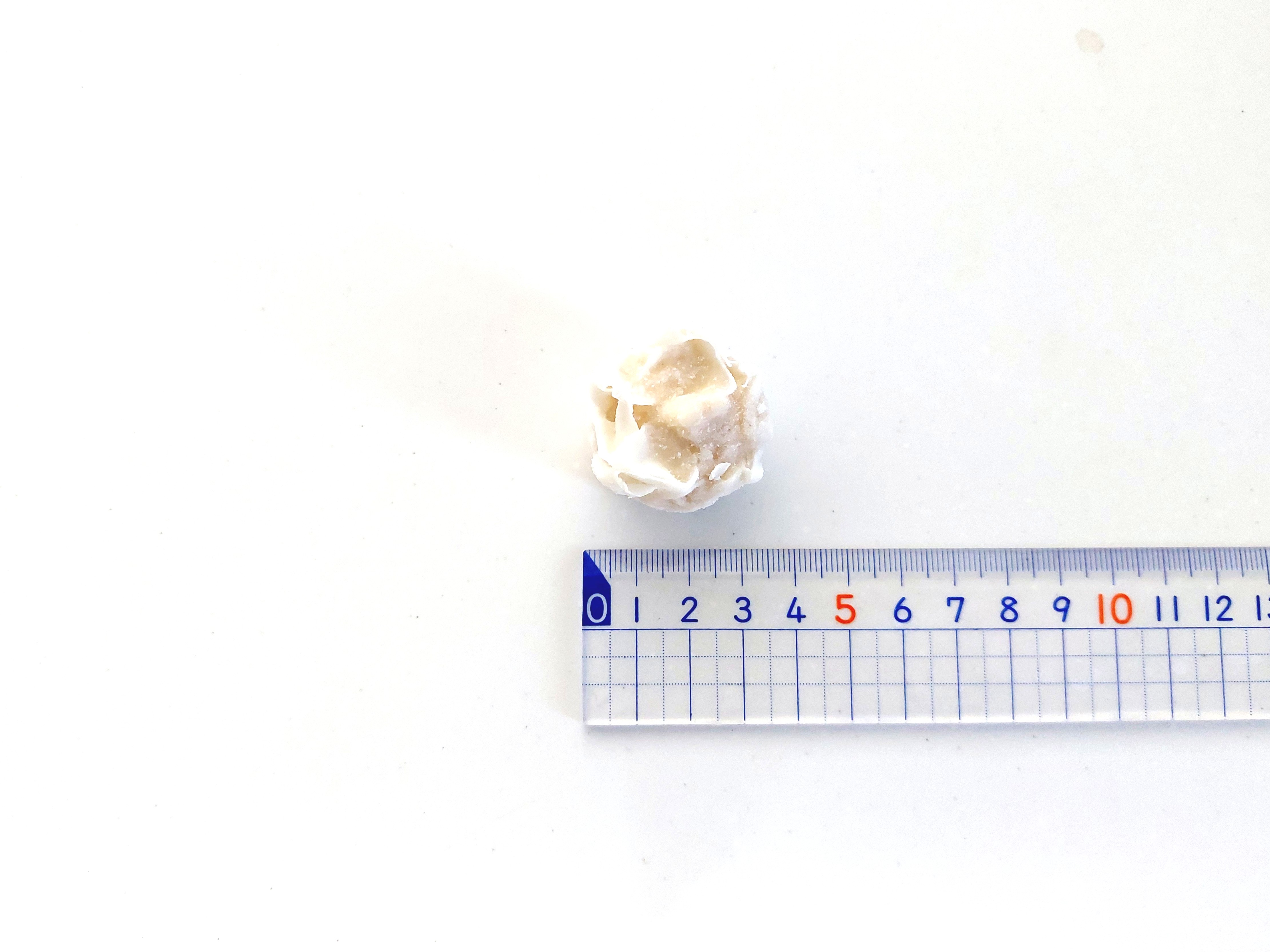 コープ「プリッとしたえびシューマイ」直径