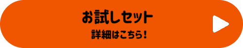 お試しセット 詳細はこちらボタン