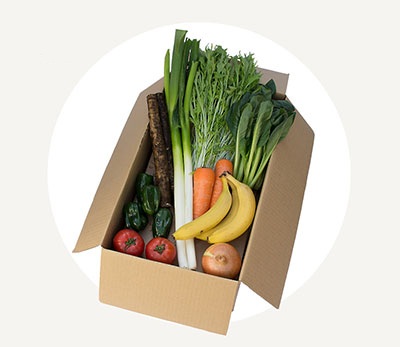 ゆうきだいすきセット