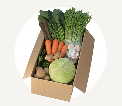 多菜（たさい）セット