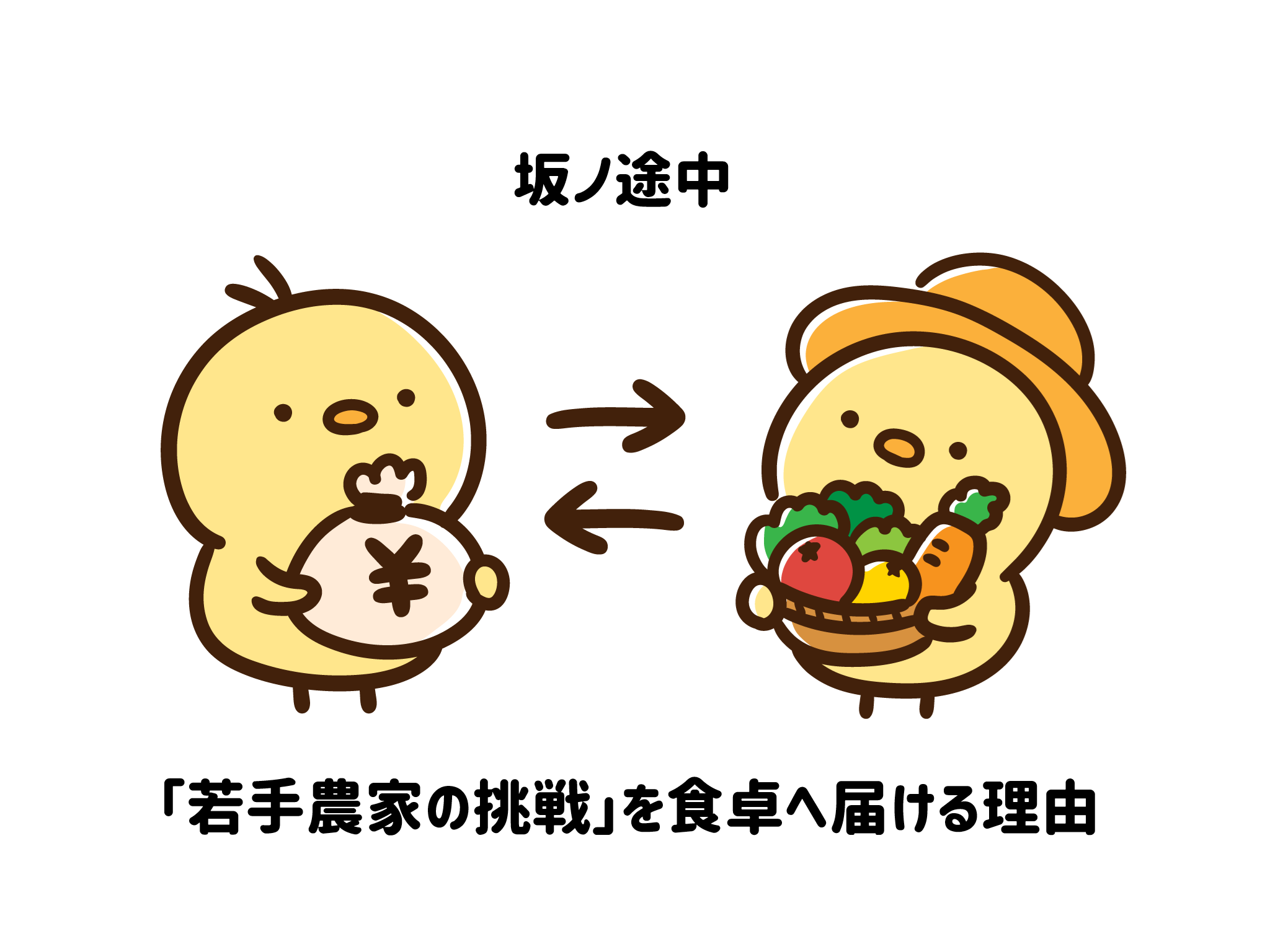 【徹底調査】坂ノ途中の評判は？届いた野菜の本音レビューと「100年先も続く」理念の正体 サムネイル