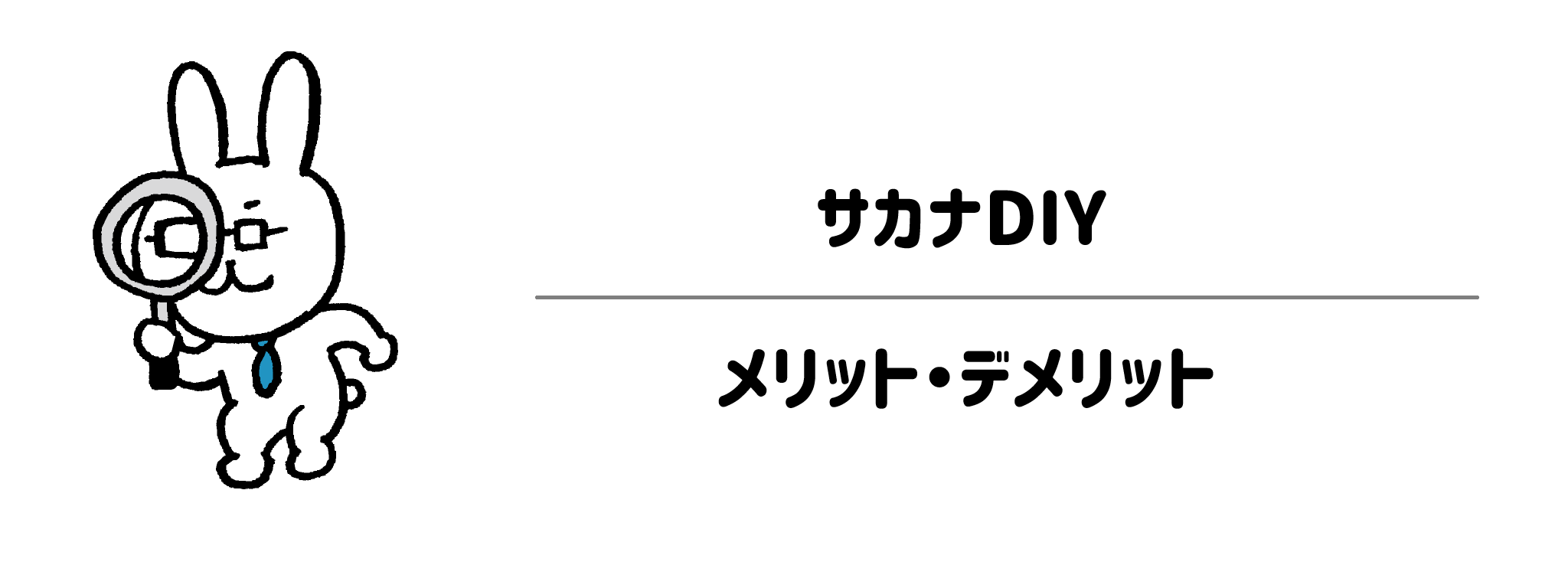 サカナDIY　利用前に知っておきたいメリット・デメリット