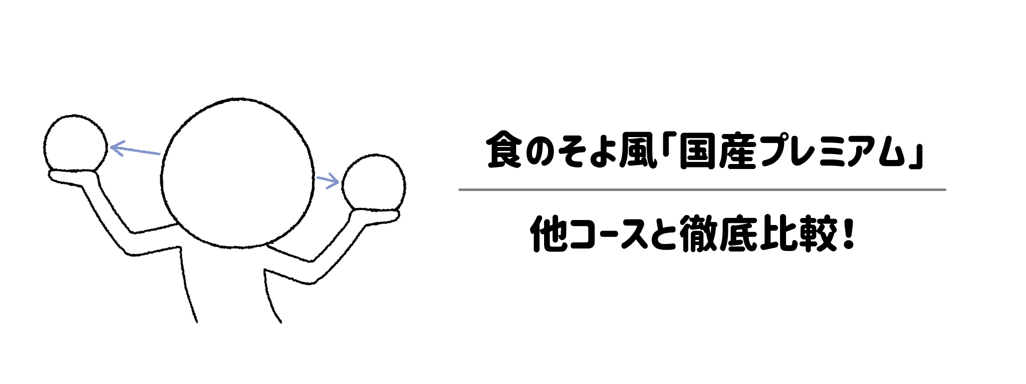 【徹底比較】国産プレミアムと他のコースとの違いを比較