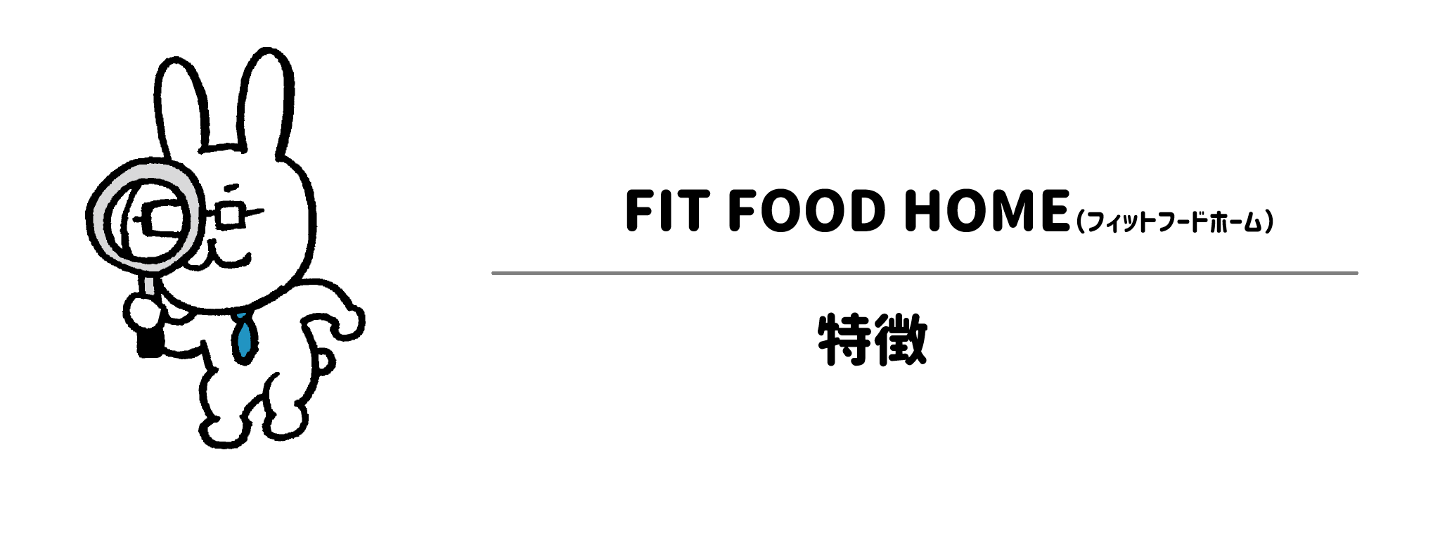 FIT FOOD HOME　特徴は？
