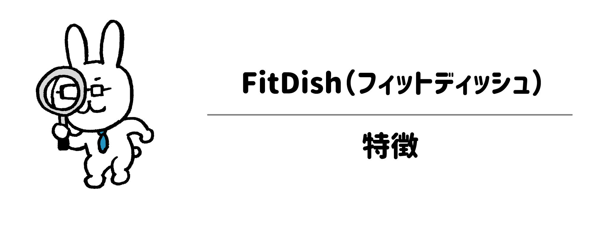 FitDish（フィットディッシュ）とは？特徴