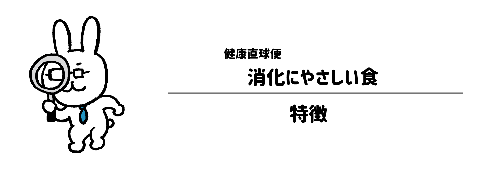 健康直球便「消化にやさしい食」の特徴
