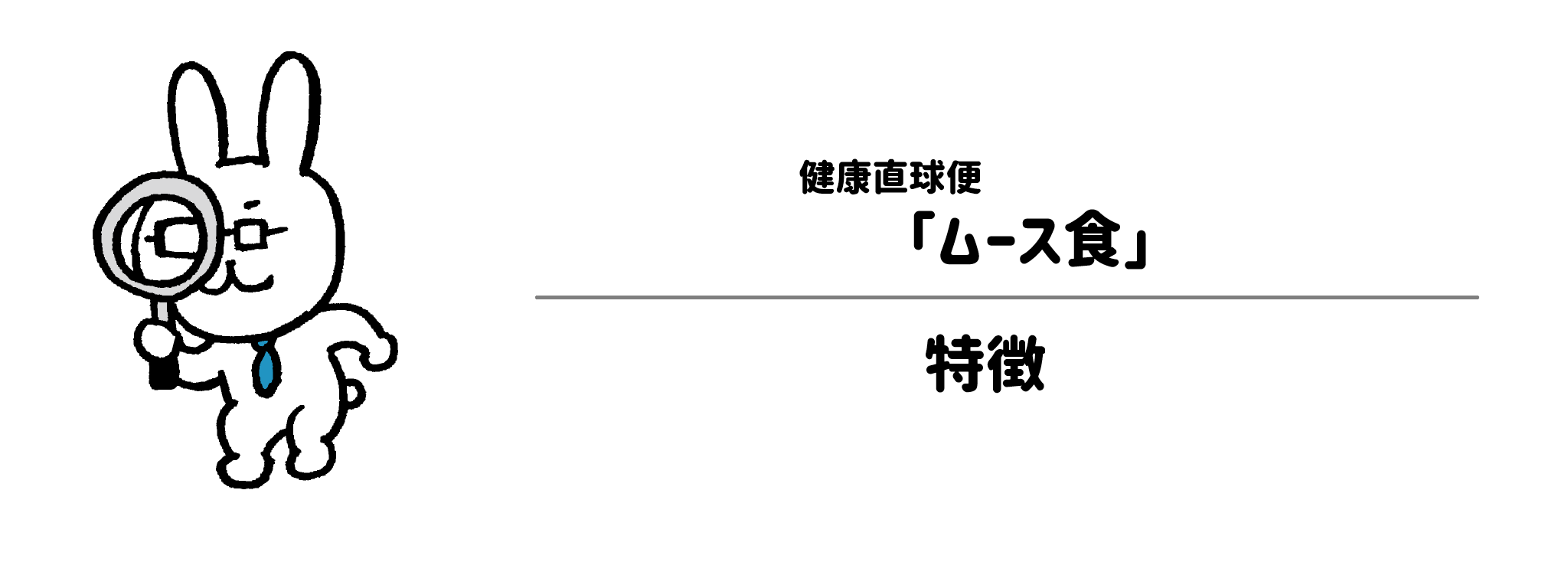 健康直球便「ムース食」の特徴