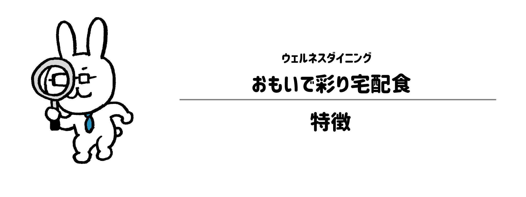 おもいで彩り宅配食の特徴