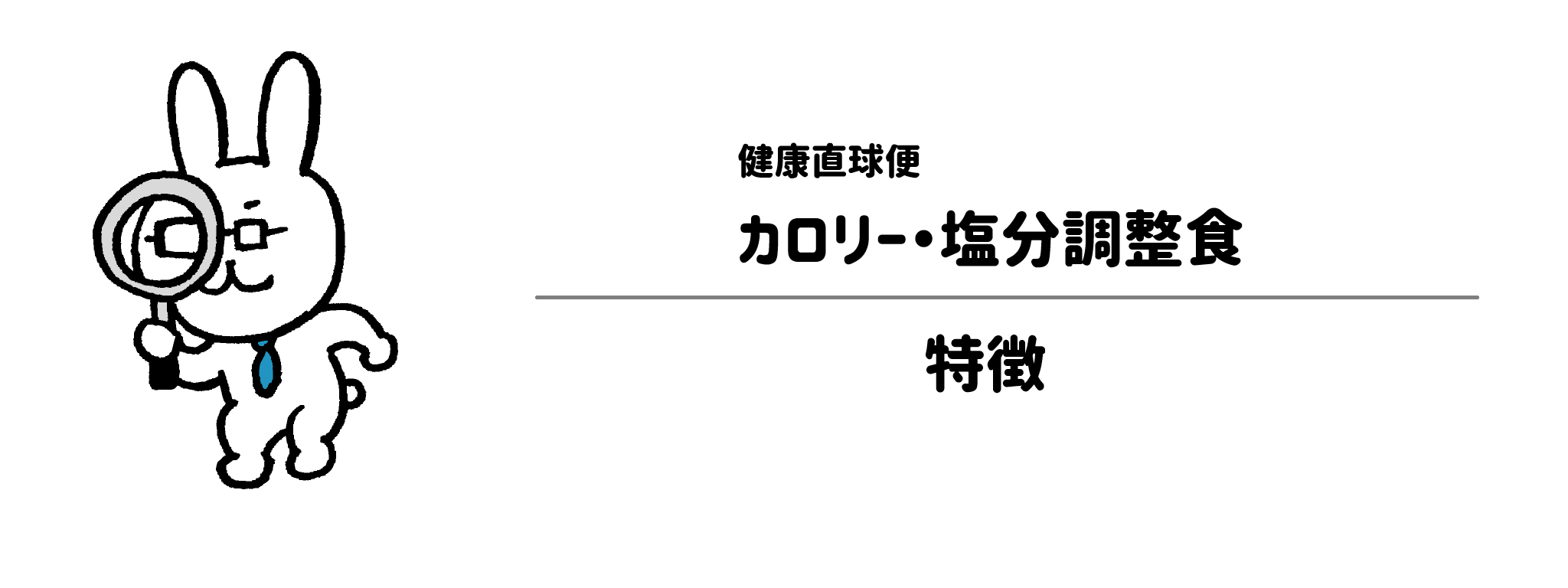健康直球便「カロリー・塩分調整食」の特徴