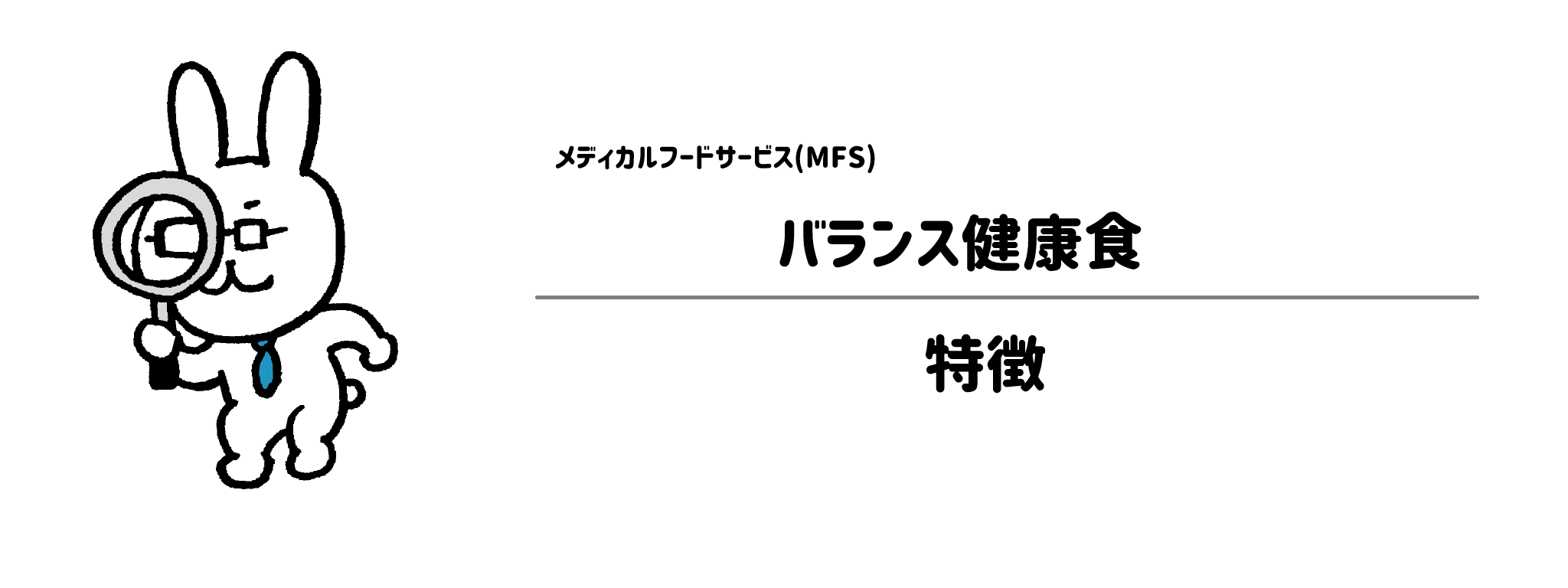 メディカルフードサービス「バランス健康食」の特徴
