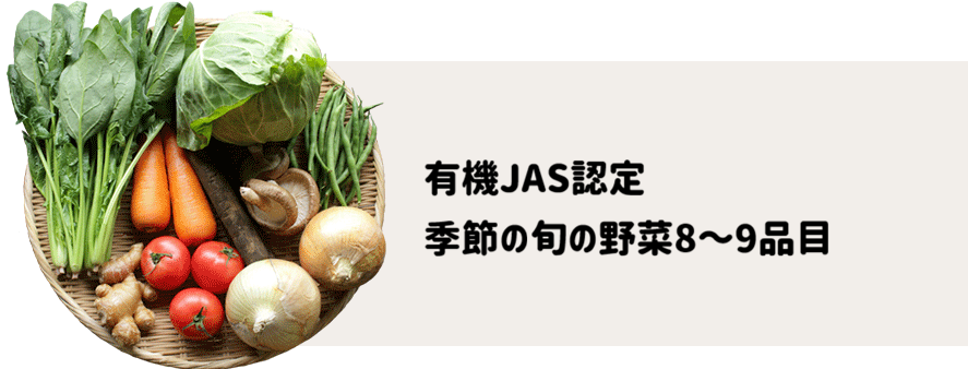 ビオマルシェ　有機JAS認定季節の旬の野菜8～9品目