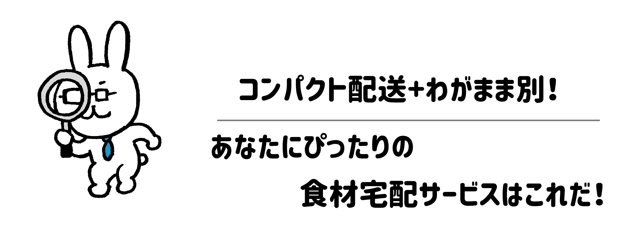 コンパクト配送+わがまま別!あなたにぴったりの食材宅配サービスはこれだ!